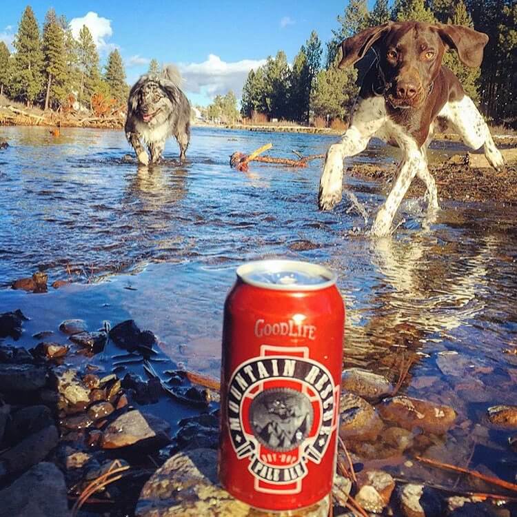 Dog Beer! #beer #craftbeer #cannedbeer #dogbeer #oregonbeer #inbend