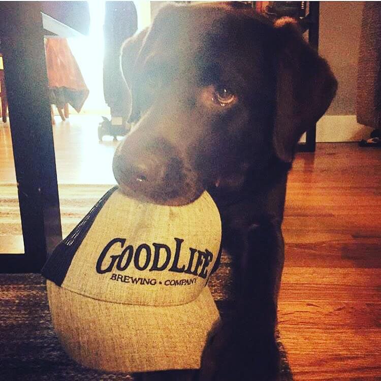 Mine! #craftbeer #beergear #dogbeer #oregonbeer #goodlife #beer #puppy