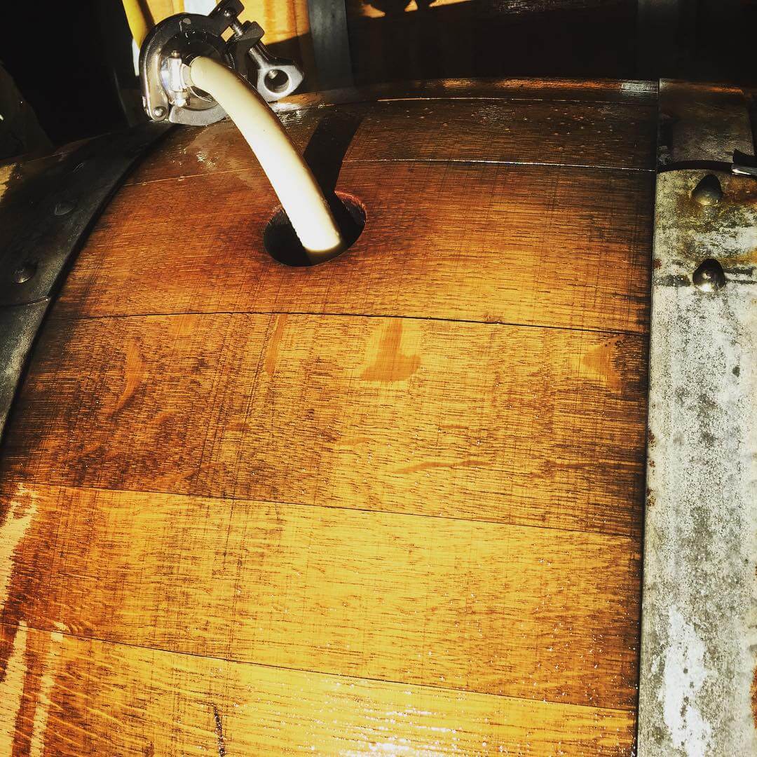 Racking some wild yeast Dortmunder in Collaboration with Ale Apothecary. #craftbeer #barrelaged #oregonbeer #collaboration #sourbeer