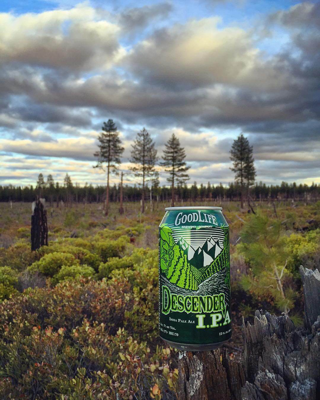 Keep it green | #goodlifebrewing #bend #oregon #descenderipa #craftbeer #cannedbeer #drinklocal #oregonbeer #bestofbend #pnwonderland