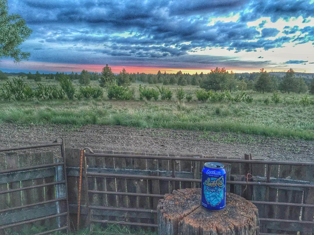 Hope you had a #sweetas Saturday! 🍺
🍺
🍺

#goodlifebrewing #bend #oregon #sweetaspacificale #oregonbeer #adventurousales #beertography #craftbeer #cannedbeer #craftnotcrap #pnw #pnwonderland #weekend #adventures