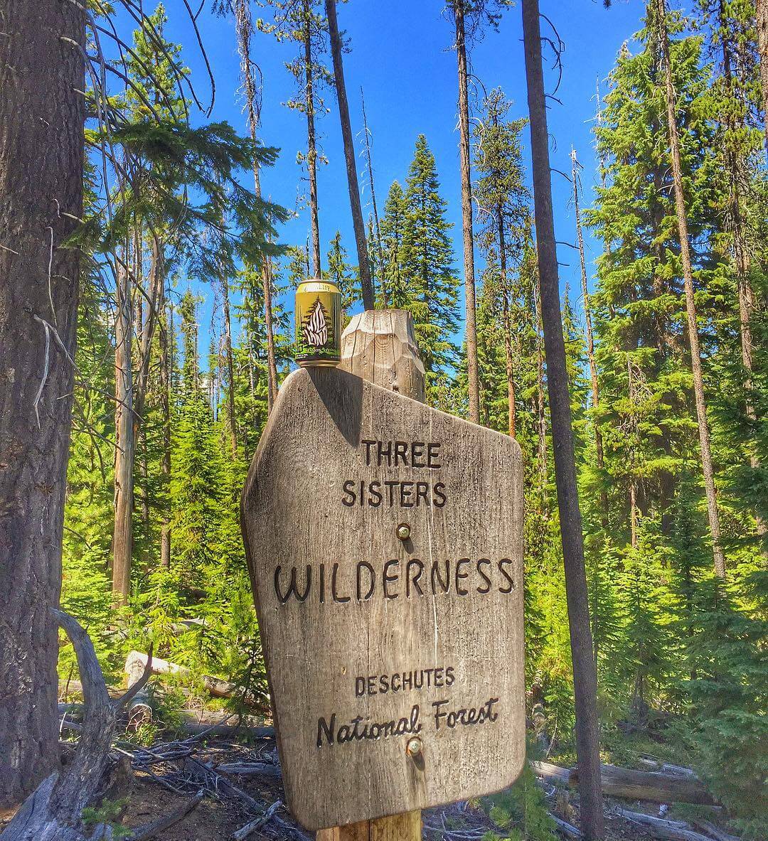 We out in the wildlands!  #adventurousales #wildlandsessionale