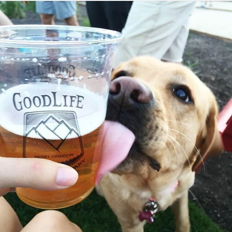 Everyone needs a little GoodLife! Tag your #sundayfunday drinking buddies! 📷: @rachellehacmac