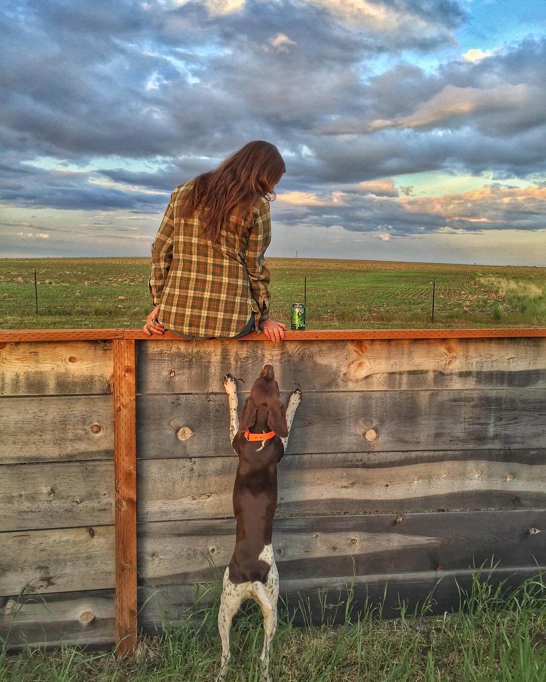 "Hey person, give me my #ipa back!" 🍺
🍺
🍺

#goodlifebrewing #bend #oregon #bendoregon #descenderipa #cannedbeer #craftbeer #craftbeerlife #craftbeerlover #draftmag #beerstagram #beertography #theoutbound #pnw #pnwonderland #explore #countrystyle #countryliving #adventurousales