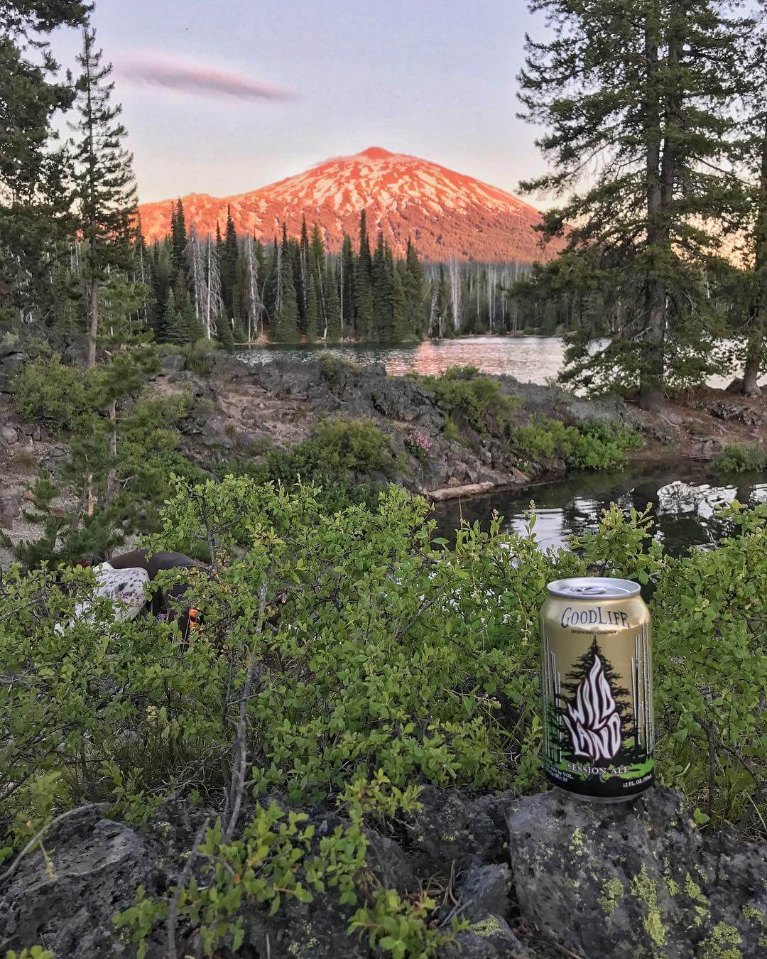 Wildland Session Ale in its natural habitat! Be on the lookout for #cans on a shelf near you soon!