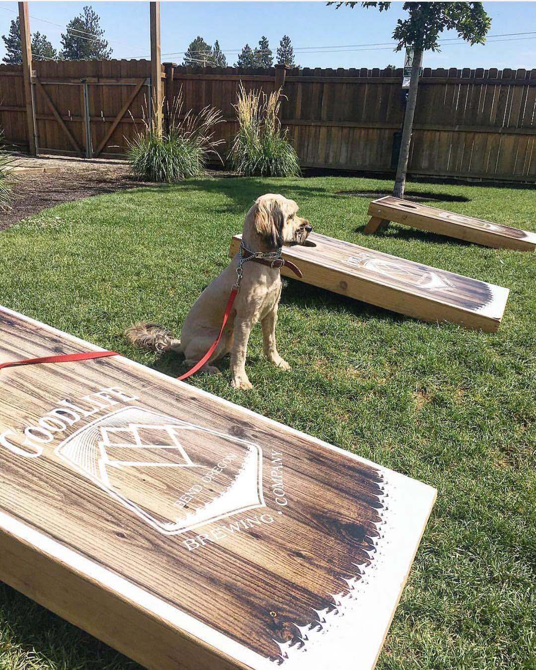 The #dogdaysofsummer are here and they are saving your spot in the #biergarten! Come toss some bags and have a pint after work! 📸: @ponyandpenny2017