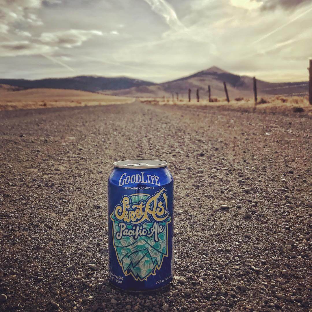 If you saw this “hitchhiker” on a country road, would you pick it up?! #sweetaspacificale