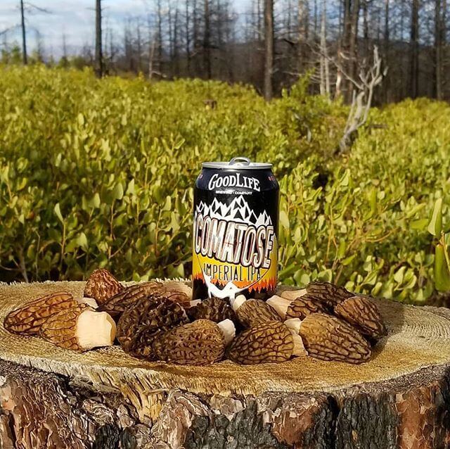 Fresh #morels and fresh #comatoseimperialipa, what could be better?! 📸: @mtnsrfr65 #whatsyourgoodlife