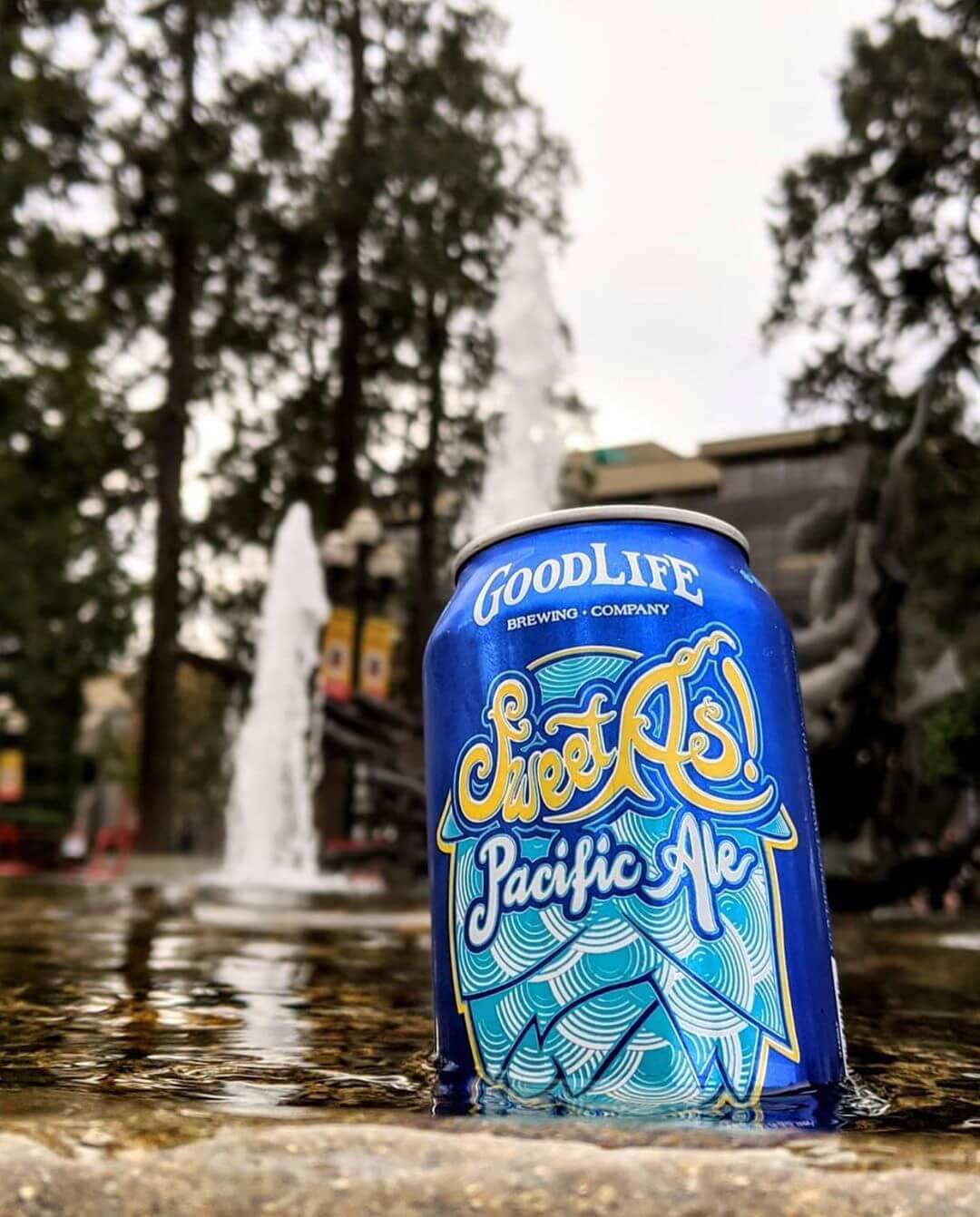 That’s one sweet as photo! 
Photo: @explorewithbeer