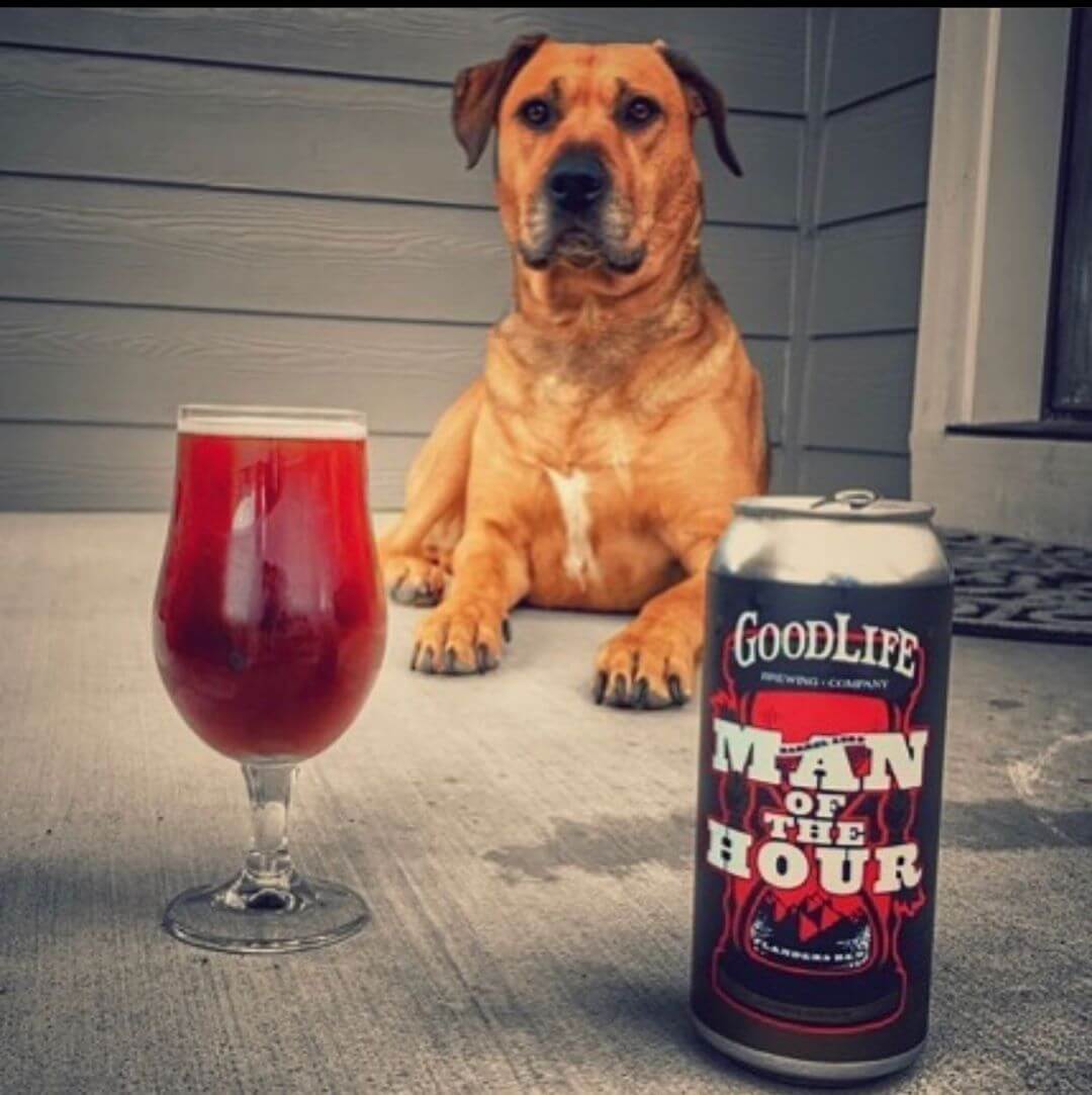 We are pretty sure this is exactly how Curt would want to end his weekend, too: his dog and a beer! Great photo courtesy of @wymacraft! Remember, you can get your hands on these crowlers at the pub for a limited time! #goodlifebrewing #manofthehour